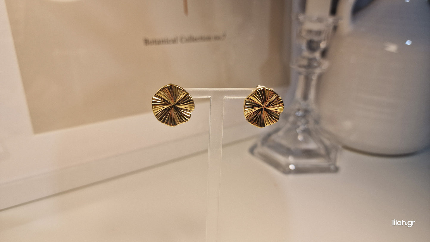Nova Steel Earrings