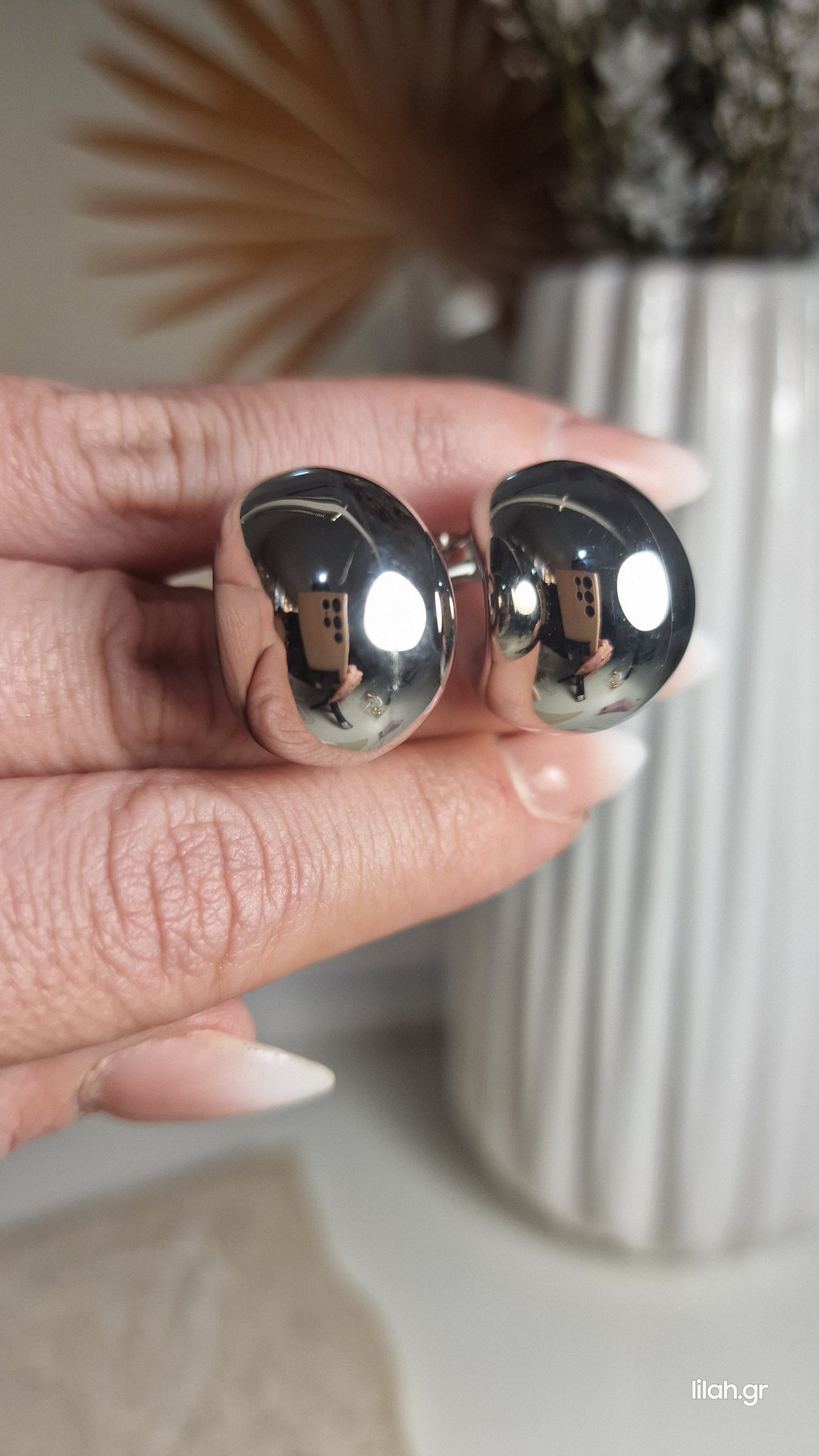 Steel Loop Earrings