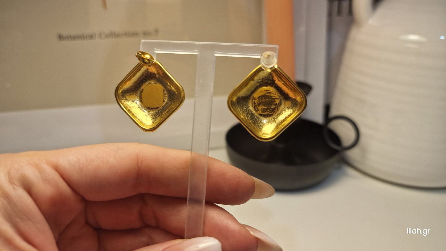 Ellie steel earrings