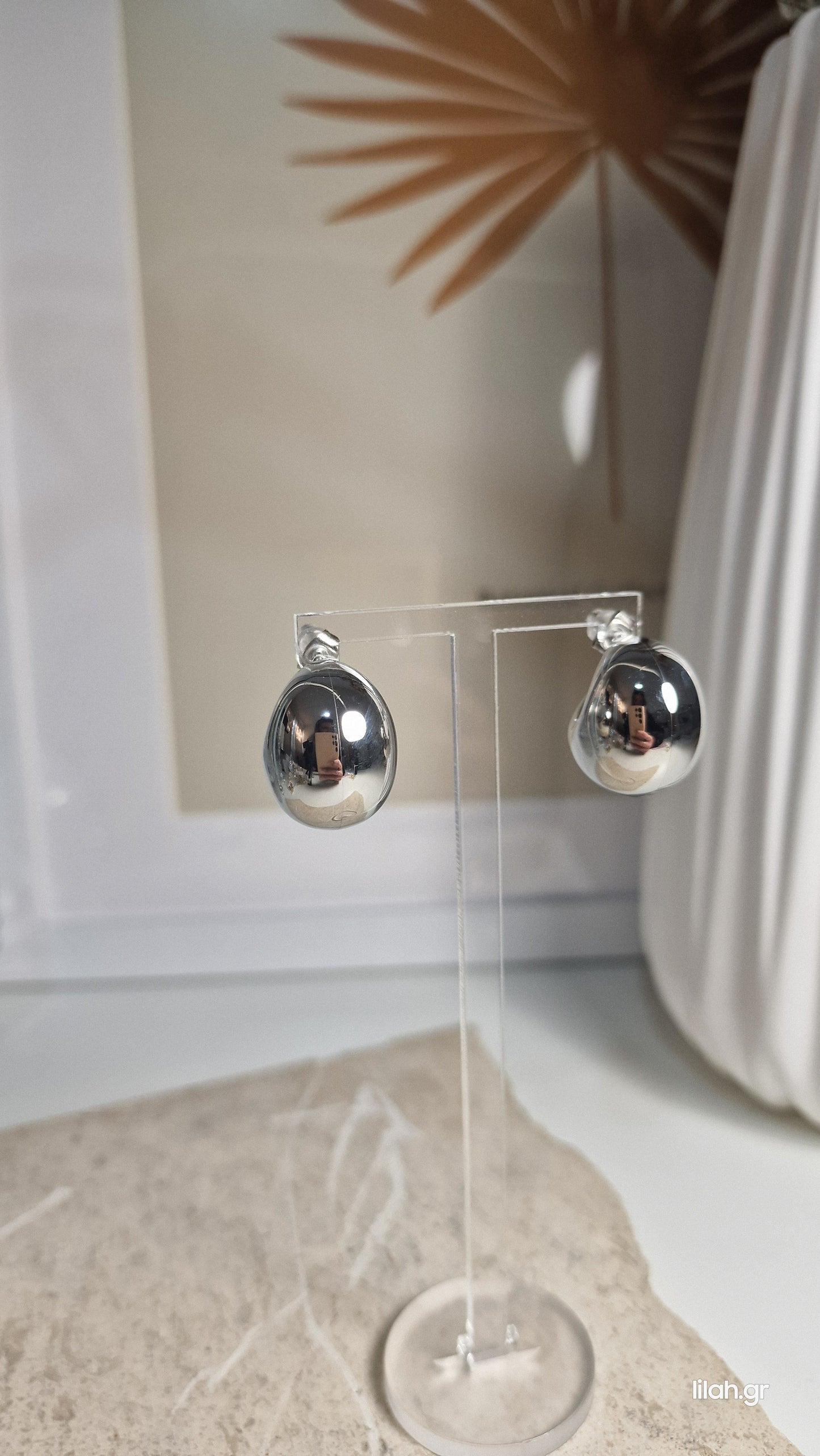Steel Loop Earrings