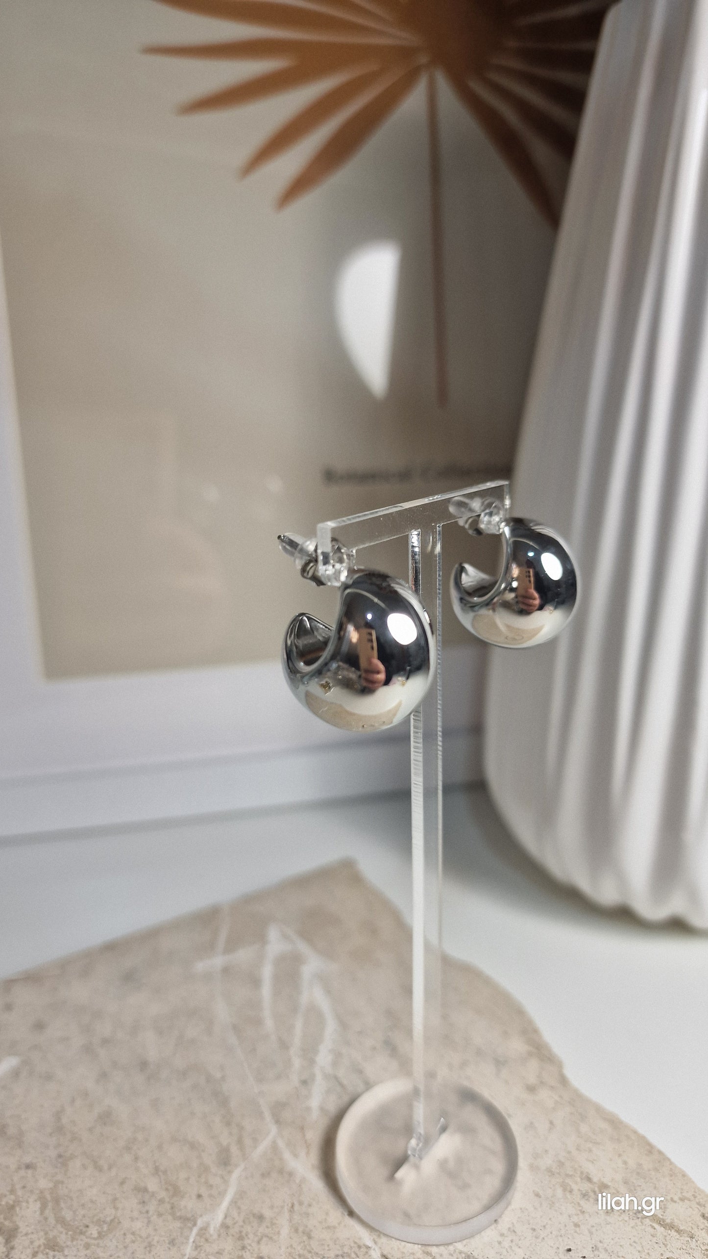 Steel Loop Earrings